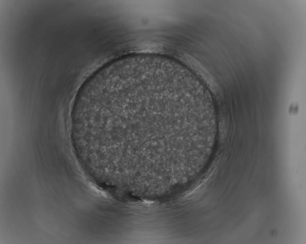 X0000093760721200711061110