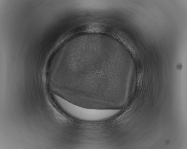 X0000093760722200711061110