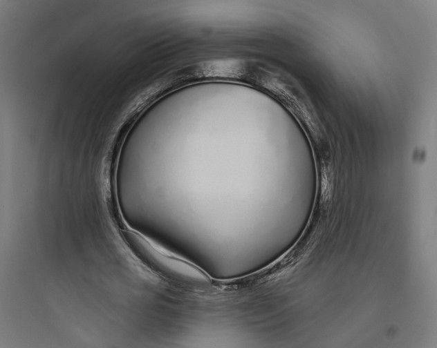 X0000093760725200711061110