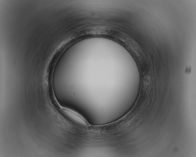 X0000093760727200711061110