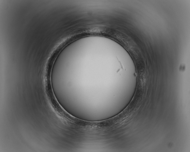 X0000093760728200711061110