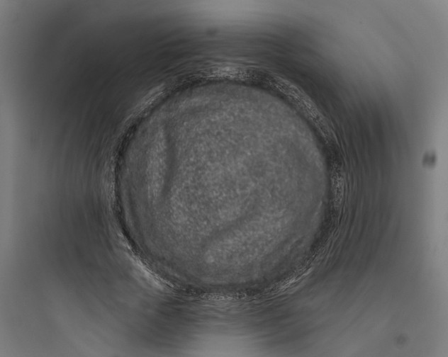 X0000093760729200711061110