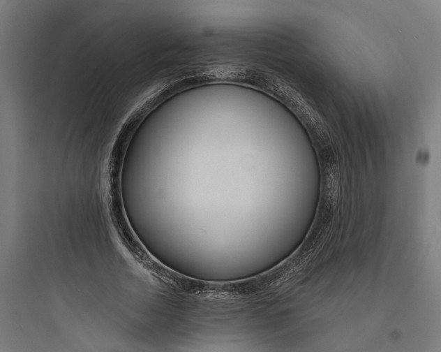 X0000093760730200711061110