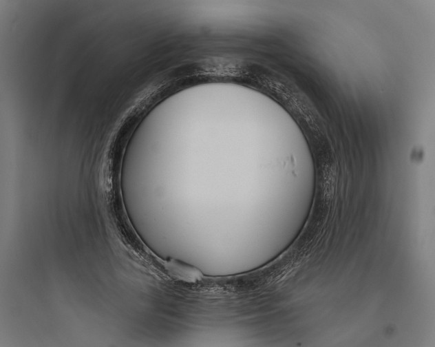 X0000093760731200711061110