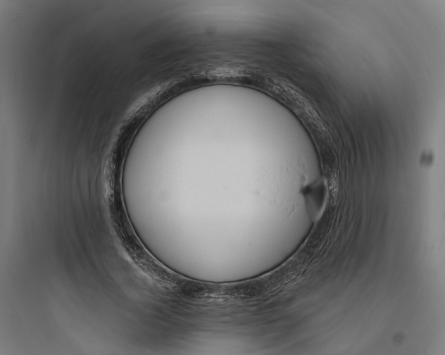 X0000093760732200711061110