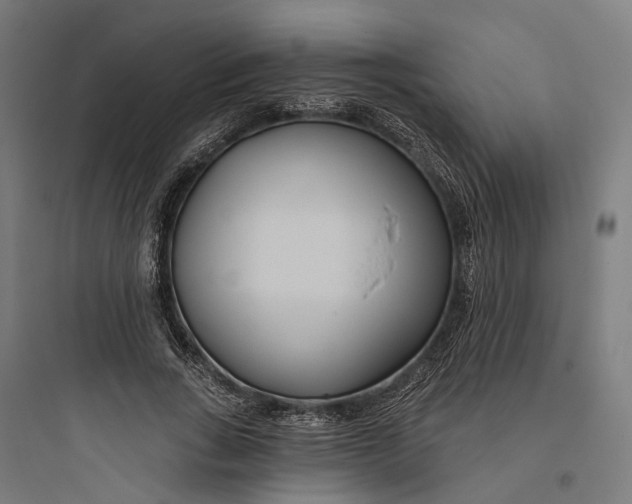 X0000093760735200711061110