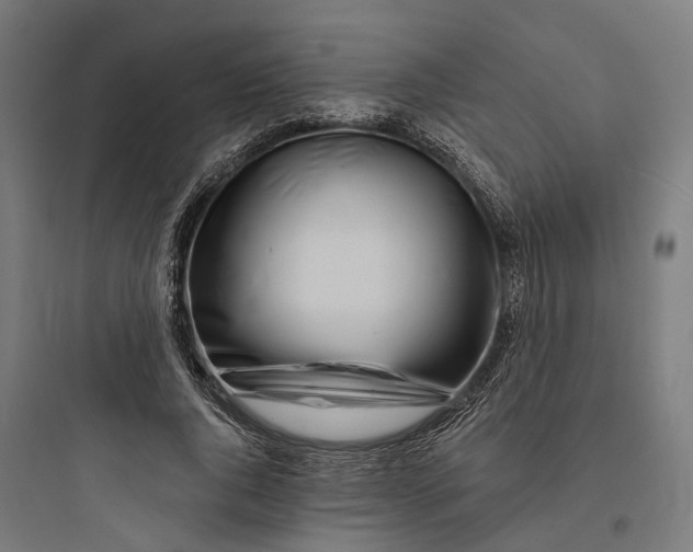 X0000093760736200711061110