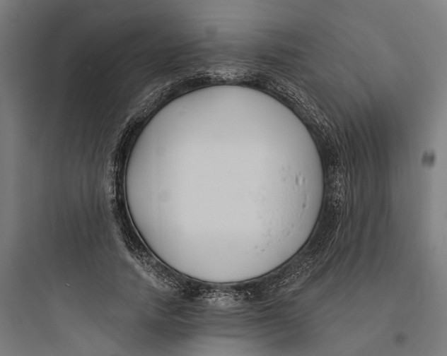 X0000093760738200711061110