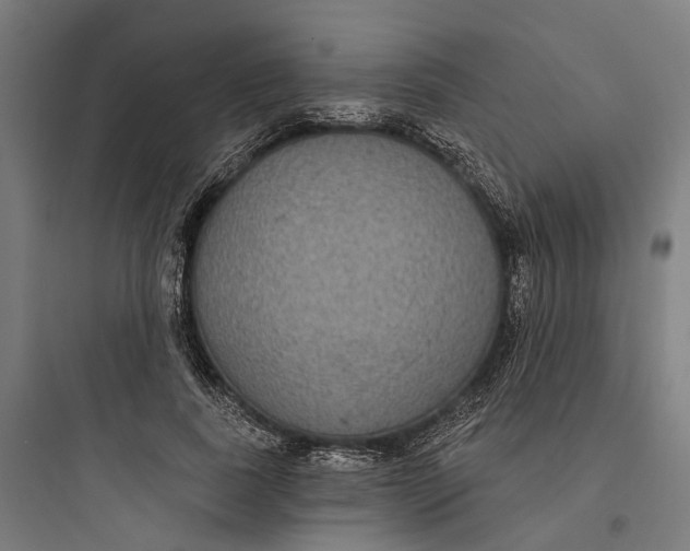 X0000093760739200711061110