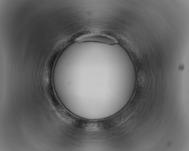 X0000093760740200711061110