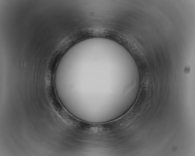 X0000093760744200711061110