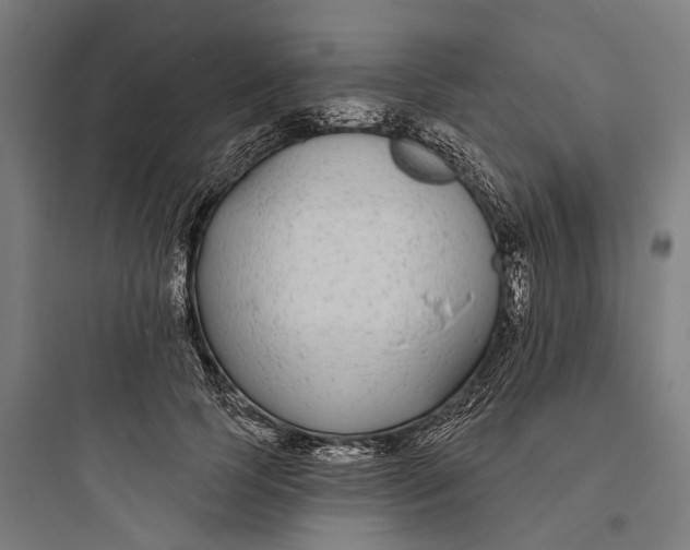 X0000093760745200711061110