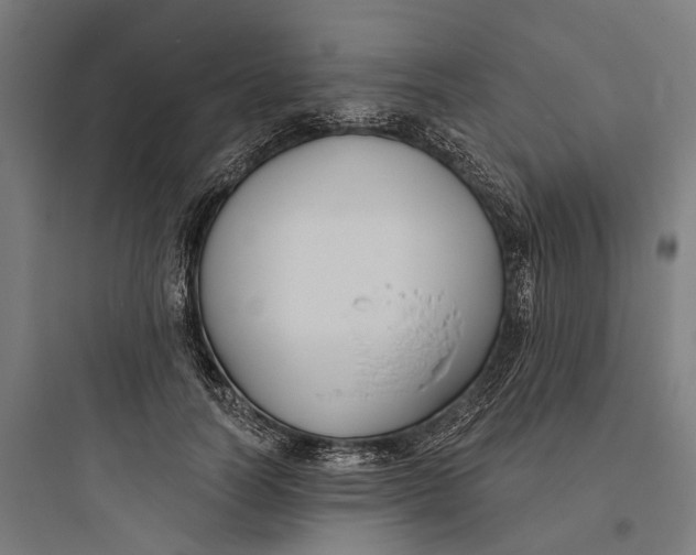 X0000093760746200711061110