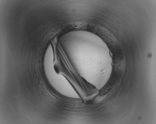 X0000093760748200711061110