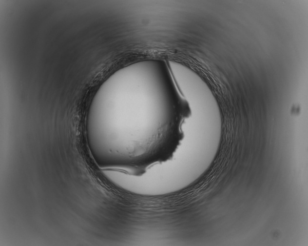 X0000093760750200711061110