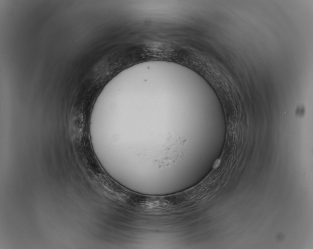 X0000093760752200711061110