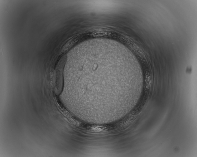 X0000093760753200711061110