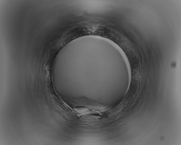 X0000093760754200711061110