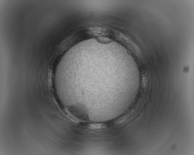 X0000093760757200711061110