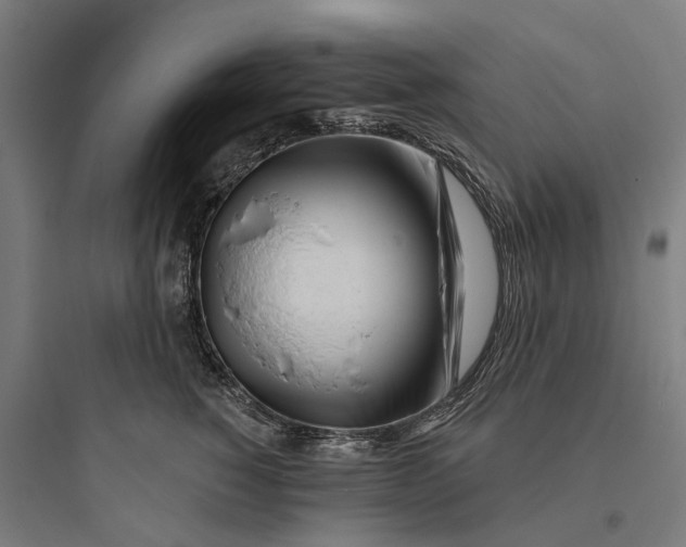 X0000093760760200711061111