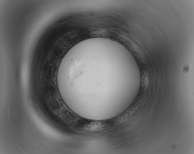 X0000093760764200711061111