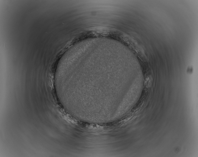 X0000093760772200711061110