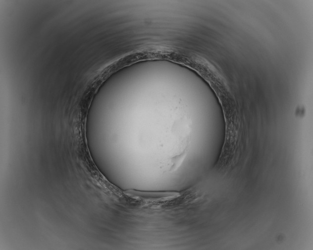 X0000093760773200711061110