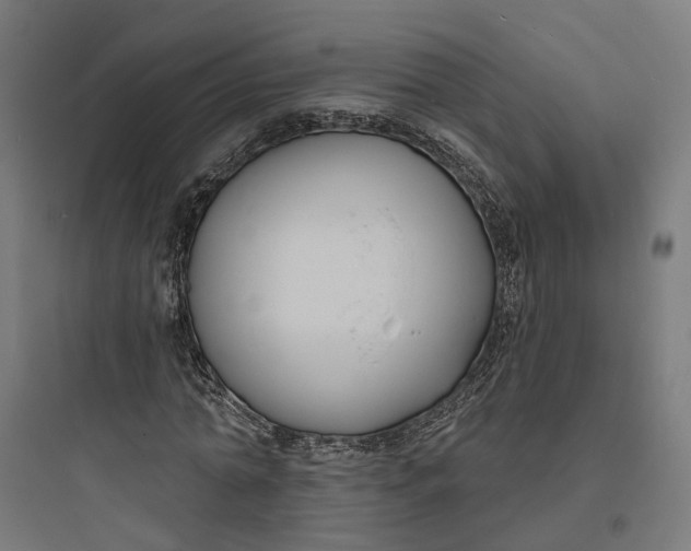 X0000093760774200711061110