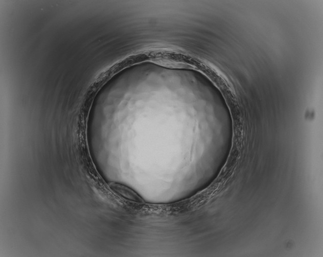 X0000093760775200711061110