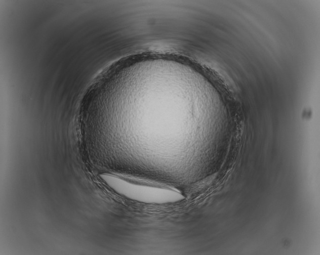 X0000093760776200711061110