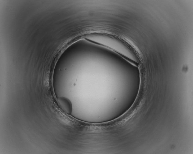 X0000093760777200711061110