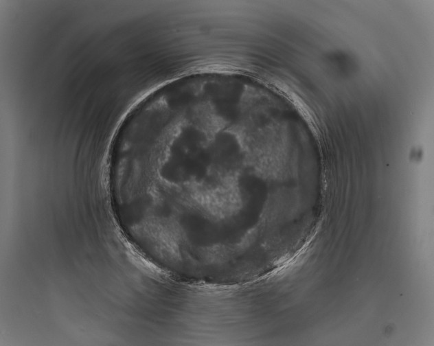 X0000093760779200711061110