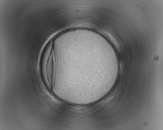 X0000093760780200711061110