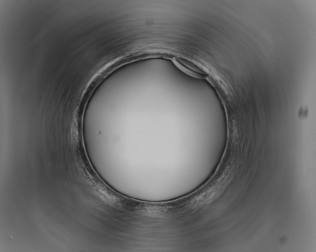 X0000093760782200711061110