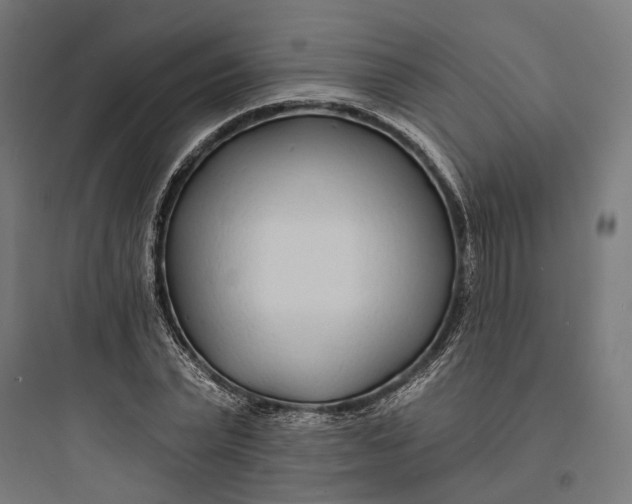 X0000093760783200711061110