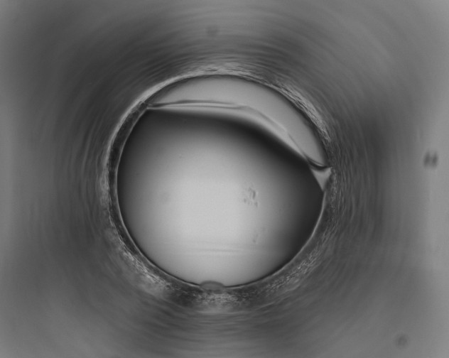 X0000093760784200711061110