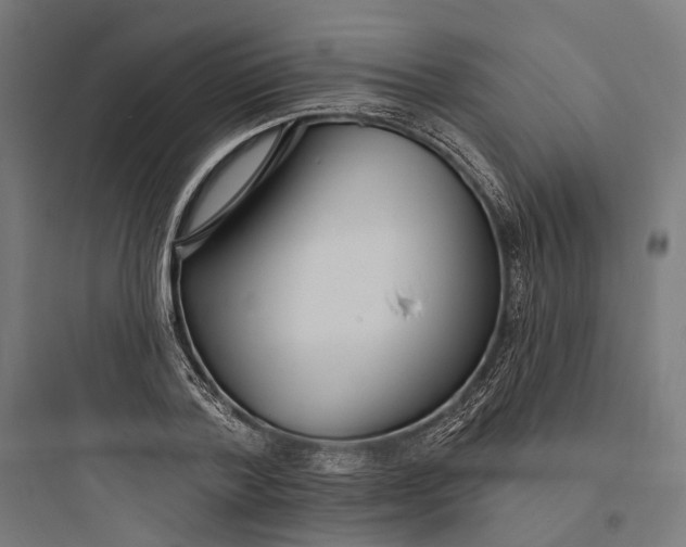 X0000093760788200711061110