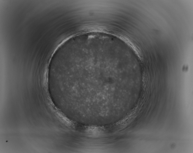 X0000093760790200711061110