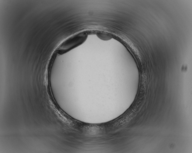 X0000093760791200711061110