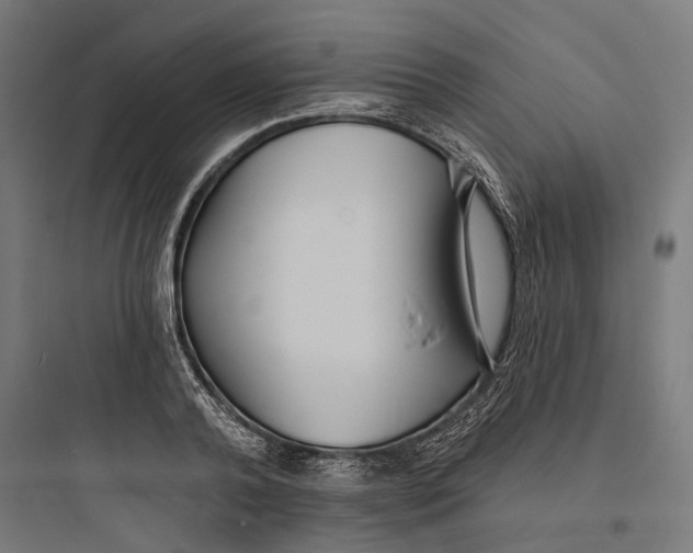 X0000093760792200711061110