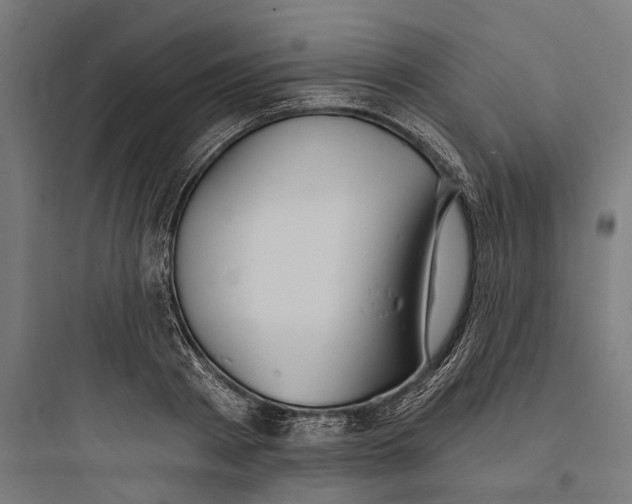 X0000093760793200711061110