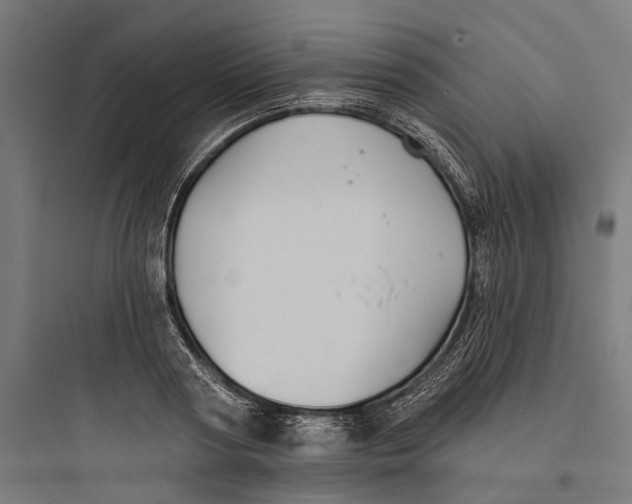 X0000093760794200711061110