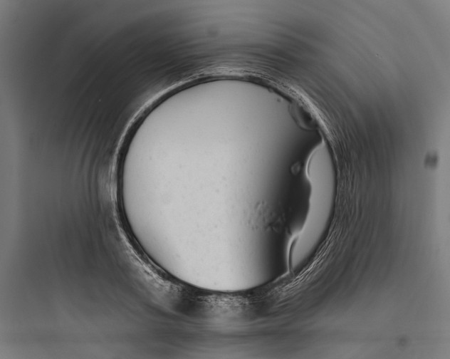 X0000093760795200711061110