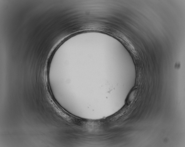 X0000093760796200711061110