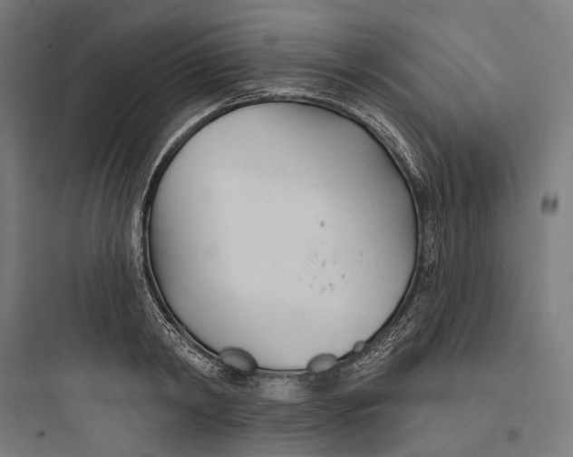 X0000093760798200711061110