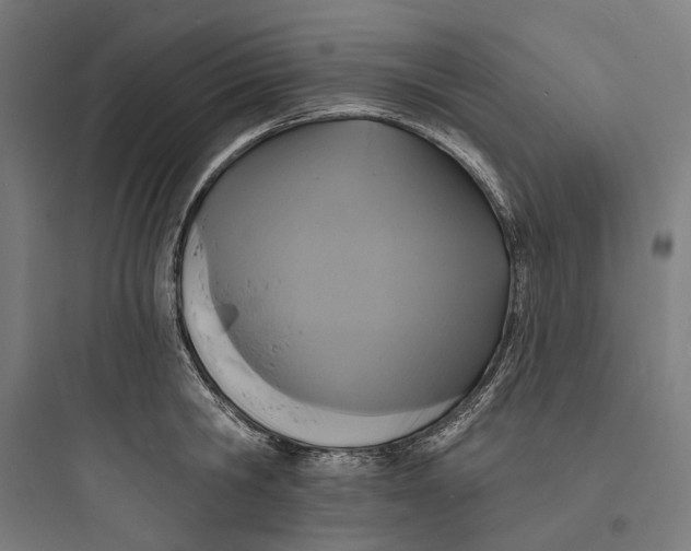 X0000093760806200711061109