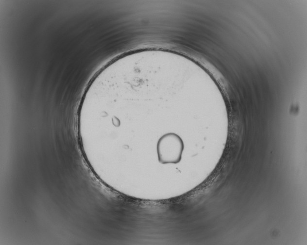 X0000093760807200711061109