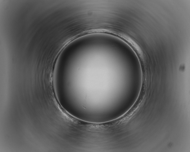 X0000093760809200711061109