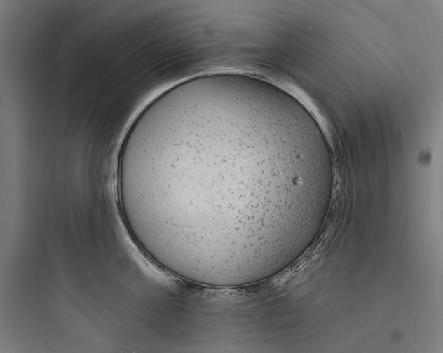 X0000093760811200711061109