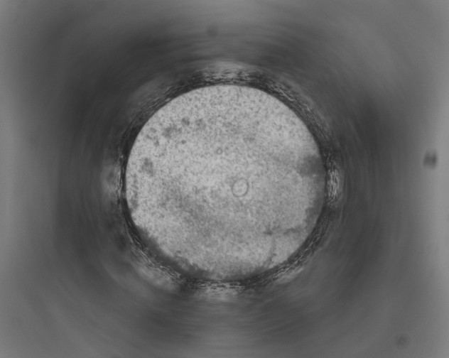 X0000093760820200711061109